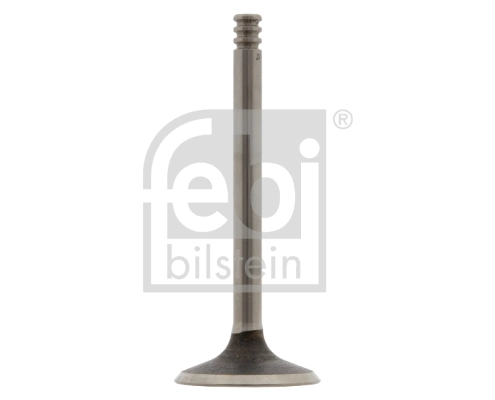 Intake Valve